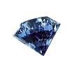 Exclusive VIP Badge