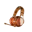 VIP Host