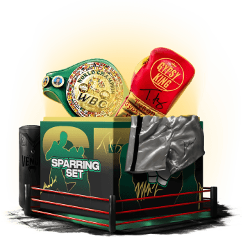 Mystery Box Sparring Set