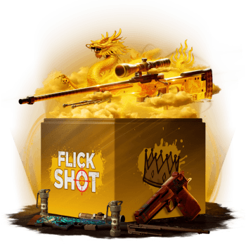 Mystery Box Flick & Shot