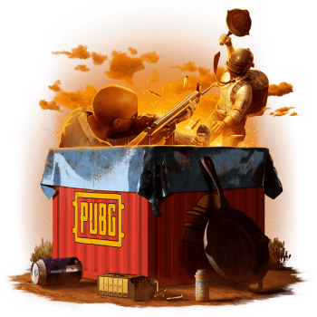 Mystery Box PUBG
