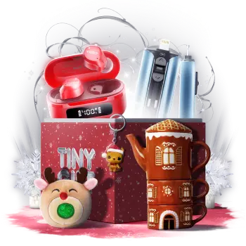 Mystery Box Tiny Gift