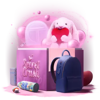 Mystery Box Secret Crush