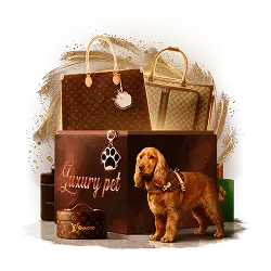 Mystery Box Luxury Pet