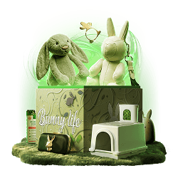 Mystery Box Bunny Life