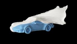 Veiled Porsche