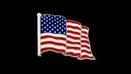American Flag Lapel Pin