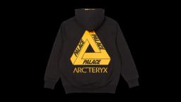 Palace Arc'teryx Hoodie - Black