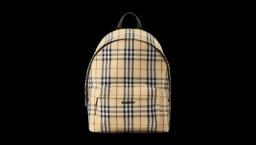 Check Backpack