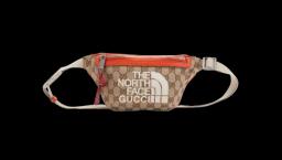 Belt Bag - Beige / Ebony