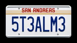 Metal Stamped License Plate