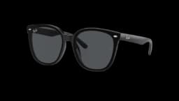 RB4423D Sunglasses