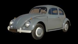 Beetle