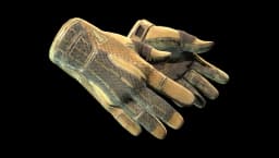 Sport Gloves | Arid (Field-Tested)