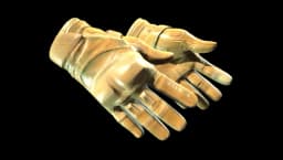 Moto Gloves | Transport (Minimal Wear)