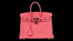 Birkin 25 Handbag 2017 