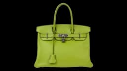 Birkin 30 Handbag 2007