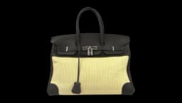 Birkin 35 Handbag 2006