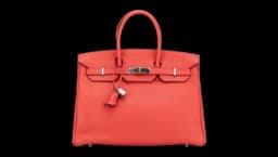 Clemence Birkin Retourne 35 Handbag 2016