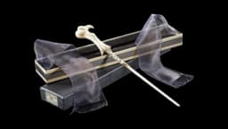 Lord Voldemort's Wand in Ollivander's Box