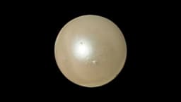 South Sea Pearl 19.0 CTS