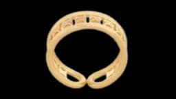Triomphe Multi Ring In Brass With Gold Finish