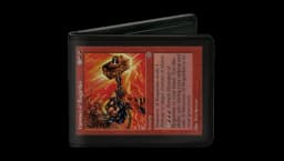 Hammer of Bogardan Print Bifold Walltet
