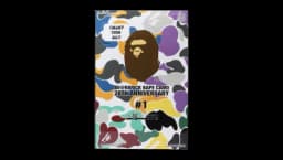 28th Anniversary Camo #1 Sealed Case 100% (24 Blind Boxes)