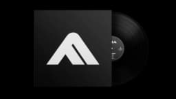 1st Anniversary LP Vinyl: 1st Press