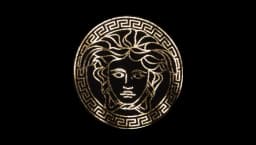 Versace Logo Stroke Chrome Sticker