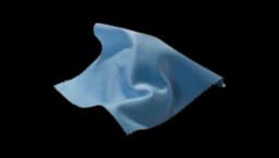 Microfiber Watch Cloth