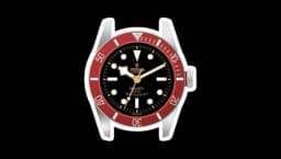 Tudor Watch Black Bay Sticker