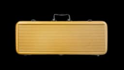 ABS Poker Chips Case - Gold/ Black