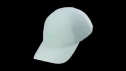 Bird Word Cap - Stone Green/Phos