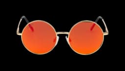 Lara Croft's Classic Raider Specs