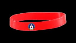 CIA Logo Silicone Wristband - Red