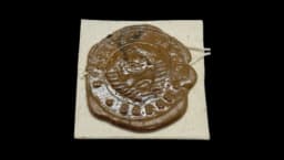 Soviet Army 1980 Wax Seal