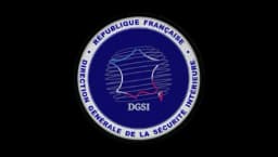 DGSI Logo Patch