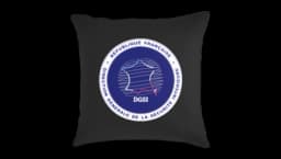 DGSI Logo Throw Pillow Small - Black