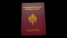 French Passport Prop Replica