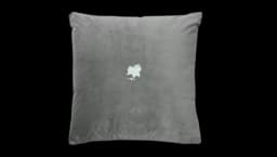 Bulbasaur Thunderbolt Miyashita Park Cushion - Grey