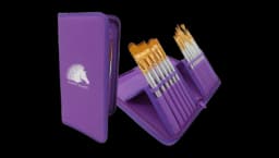 Art Brushes For Painting Set of 15