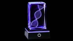 3D Crystal DNA Model With LED Base