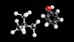 Molecular Model Kit 240 Pcs