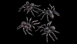 4 Pieces Realistic Giant Fake Spiders