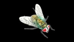 Plastic Fake Fly Figurine - Green