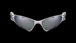 Goxx 02 - Silver
