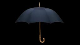Maple Umbrella - Dark Navy