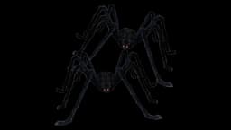 Halloween Spiders Large Outdoor Decoration 2 Pack - Black