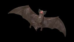 Bat Plastic Detailed Figurine Decoration - Brown